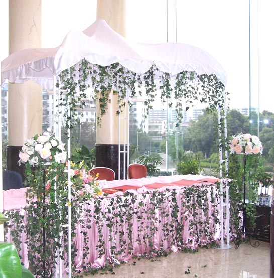 COCKTAIL PARTY CANOPY
