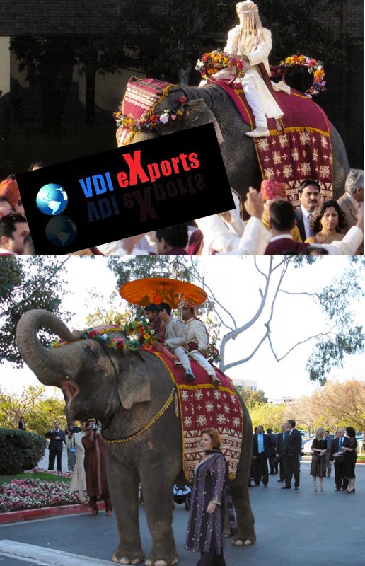 EMBROIDERED ELEPHANT COSTUMES