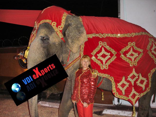 FANCY ELEPHANT COSTUMES WITH DRESS