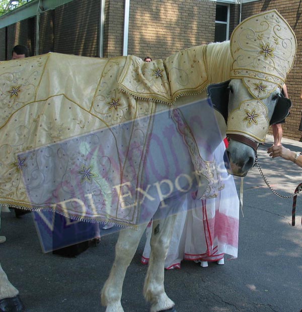 EMBROIDERED HORSE COSTUME