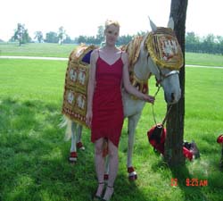 HEAVY EMBROIDERED HORSE COSTUME
