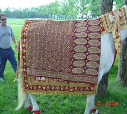 THICK EMBROIDERED HORSE COSTUME