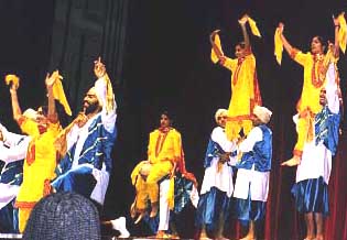 Punjabi Bhangara Dresses