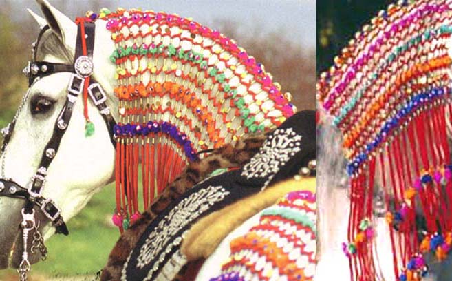 HORSE NECKCOVERINGS