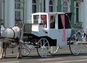 COVERED WEDDING HORSE CARRIAGE