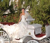 WEDDING HORSE CARRIAGES