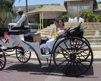 VICE VERSA WEDDING HORSE CARRIAGES