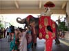 FANCY EMBROIDERED ELEPHANT COSTUMES