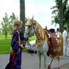 DECORATED HORSE WITH  DRESS