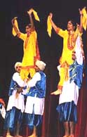 Punjabi Bhangara Dresses