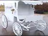 ROMANTIC WEDDING CARRIAGES